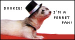 Ferrets