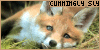 Foxes