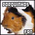 Guinea Pigs