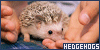 Hedgehogs