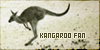 Kangaroos