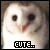 Owls