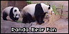 Pandas