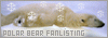 Polar Bears