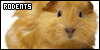Rodents
