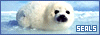 Seals