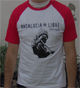 ampliar