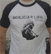 ampliar