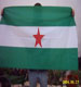 ampliar