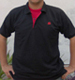 ampliar