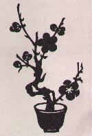 Chinese Plant Graphic