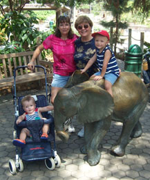 zoo2