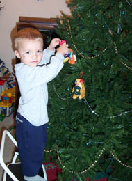 tree1