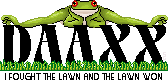 lazy frog
