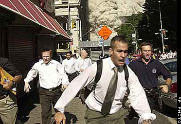 Dust Cloud from WTC collapse