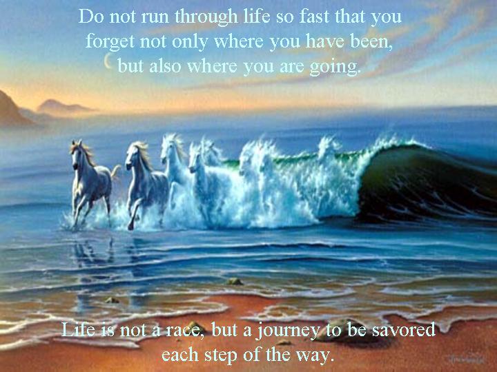 Horses/Waves
