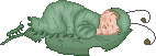 Baby Caterpillar