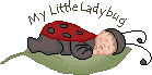Baby Ladybug