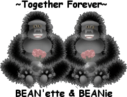 Together Forever
