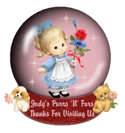Click to visit Judy's Purrs 'N' Furs