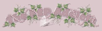Join The Addicts