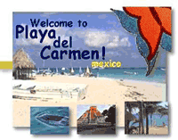 cancun, m�xico, playa del carmen, Hotel, Playa del Carmen, Mexico, Quintana Roo, Yucatan, Messico, Albergo, Caraibi, Caribbean, Turismo, Vacanze, Holidays, Spiaggia, Beach, Maya, appartamenti affitto, vacanze a playa del carmen,Riviera maya,Tulum appartamenti in affitto, Puerto Aventuras, Akumal, Puerto Morelos, turismo, vacanze, appartamenti, crociere, immersioni, diving, 