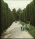 Preview of: 
str07.jpg 
500 x 555 JPEG-compressed image 
(136,588 bytes)