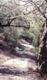 Preview of: 
str08.jpg 
500 x 842 JPEG-compressed image 
(290,218 bytes)