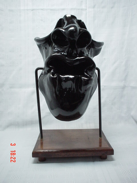 8 de Picas