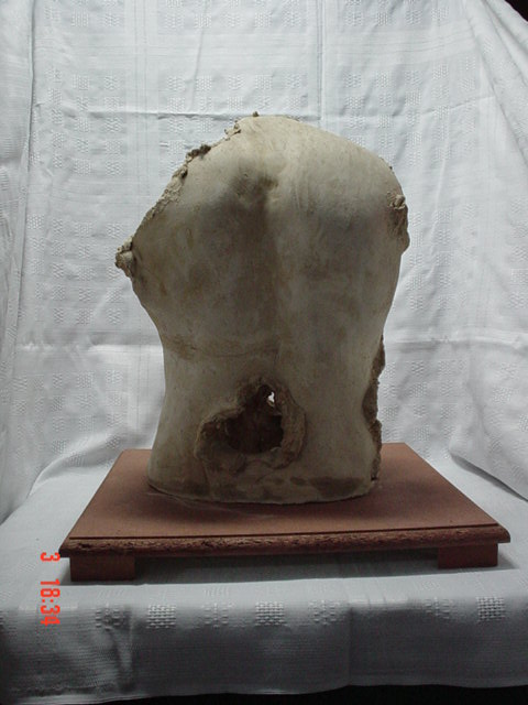 Sue�o Mutilado