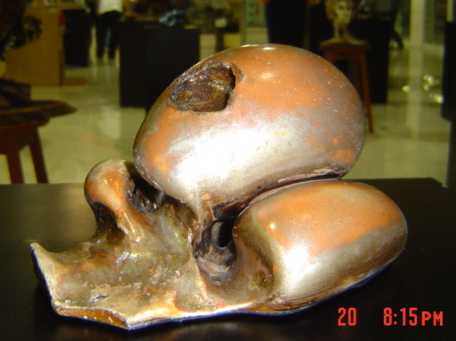 In Vitro II