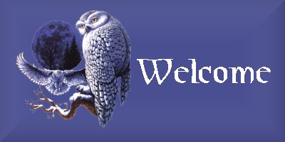 /user/Owl_greet.jpg