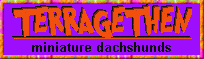 Home of unique dachshunds; located in Florida.