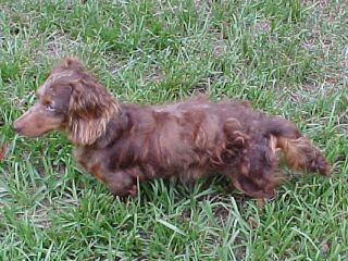 Odie on 6-6-01