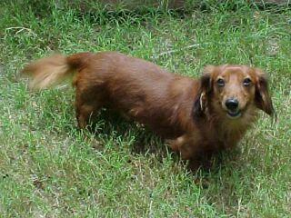 Rusty on 7-3-01