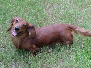 Rusty on 9-11-00