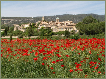 Lourmarin im roten Mohn
