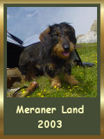 Dorf Tirol