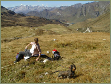 wieso fahren hier Mountainbikes?