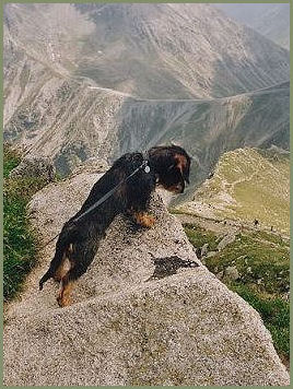 ich bin schwindelfrei, ihr auch?