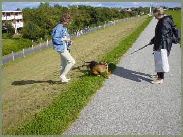 ich schniefel mal an deinem Hinterteil