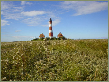v�llig unber�hrte Natur empf�ngt uns