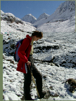 Im Schnee w�lzen war sch�ner!