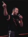 The Rock