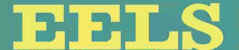 eels.jpg (3221 Byte)