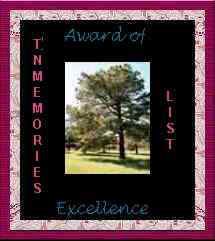 Come join us at TN-Memories!