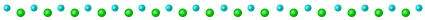 bar13.gif (4195 bytes)