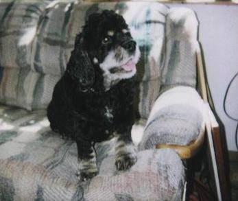 mrtjune99.jpg (16908 bytes)