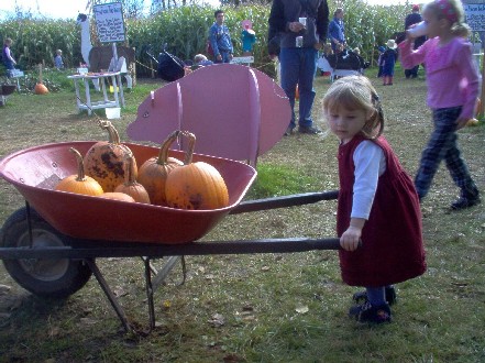 CassiePumpkin