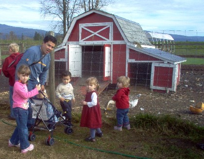 AllFarm